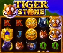 Tiger Stone